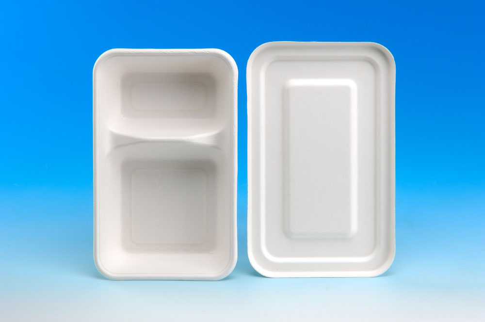 4 Compartment Lunch Box